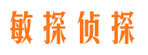 镇海婚外情调查取证